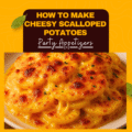 Travel Solo As A Women All Across The Globe!!! Cheesy Scalloped Potatoes