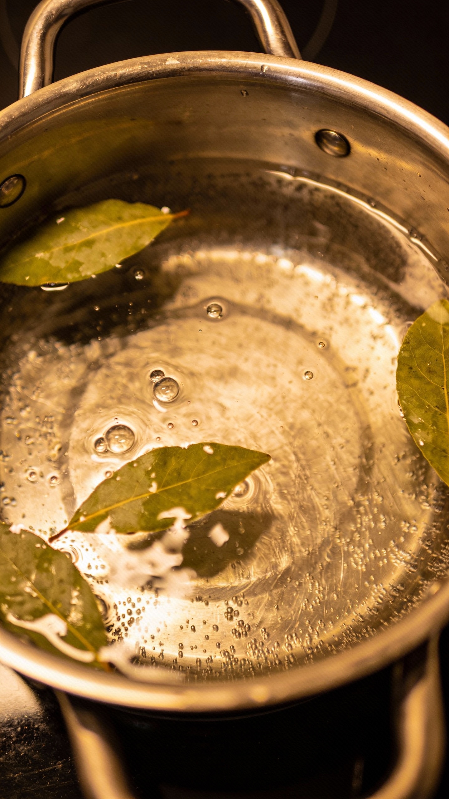 simmering pot with bay leaves and water, overhead shot