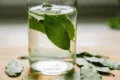 Bay Leaf Herbal Water