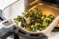 Travel Solo As A Women All Across The Globe!!! Air Fryer Kale Chips