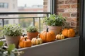 20 Fall Window Boxes with Pumpkins: Tiny-Space Ideas